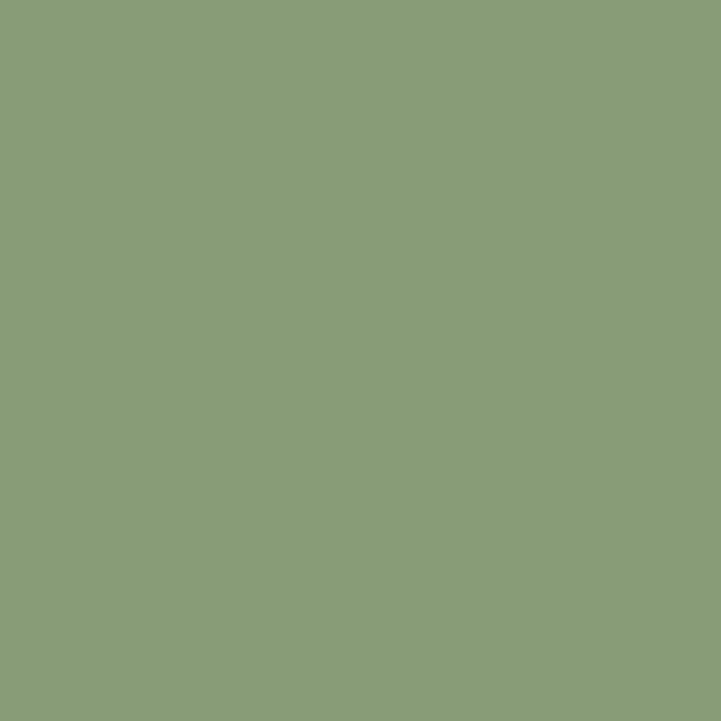 Patine Green